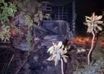 Motoristas morrem após caminhões baterem de frente na BR-251