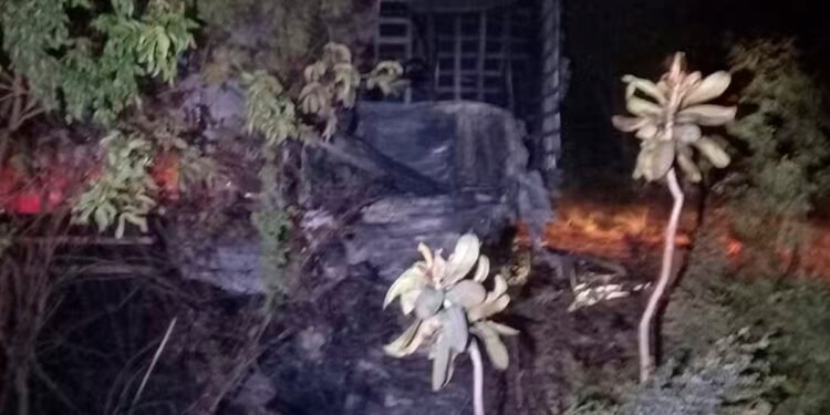 Motoristas morrem após caminhões baterem de frente na BR-251