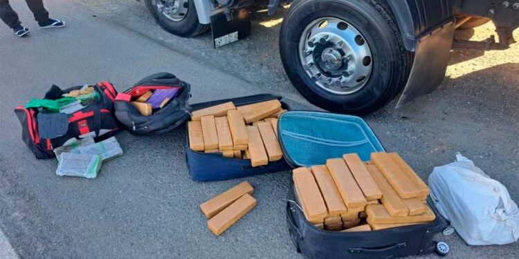 Mais de 240 quilos de drogas são apreendidos na cabine de caminhão que seguia pela BR-135