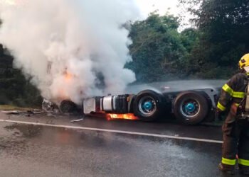 Caminhão pega fogo enquanto seguia pela BR-135 em Engenheiro Navarro