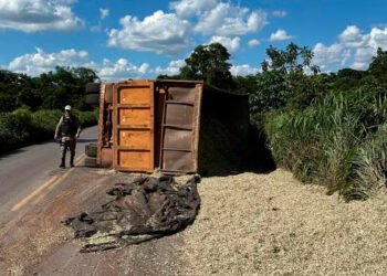 Caminhão tomba e carga de silagem de milho fica espalhada às margens da MG-188, em Unaí