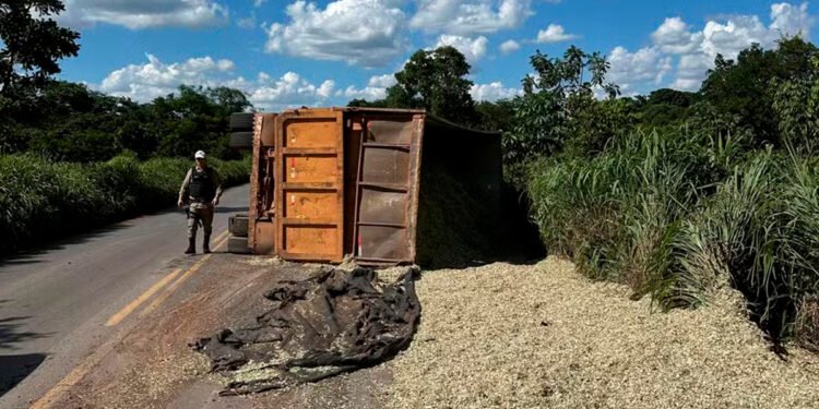 Caminhão tomba e carga de silagem de milho fica espalhada às margens da MG-188, em Unaí