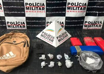 Drogas são encontradas enterradas no quintal de uma casa em São Francisco; suspeito foi preso