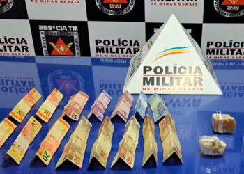 Pedras de crack são apreendidas no galho de um pé de caju, em Pirapora; dois homens foram presos