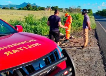 Idoso desaparecido é encontrado em mata após cadela de estimação dele latir e chamar atenção de trabalhador que passava pelo local