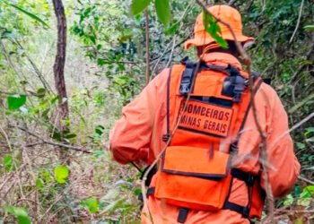 Idoso de 91 anos é encontrado morto após passar dias desaparecido em mata de Fruta de Leite