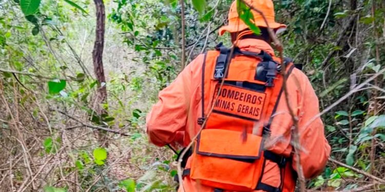 Idoso de 91 anos é encontrado morto após passar dias desaparecido em mata de Fruta de Leite