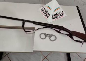 Mulher e suas 5 filhas se escondem em floresta de eucalipto após homem tentar abusar e apontar arma para uma delas