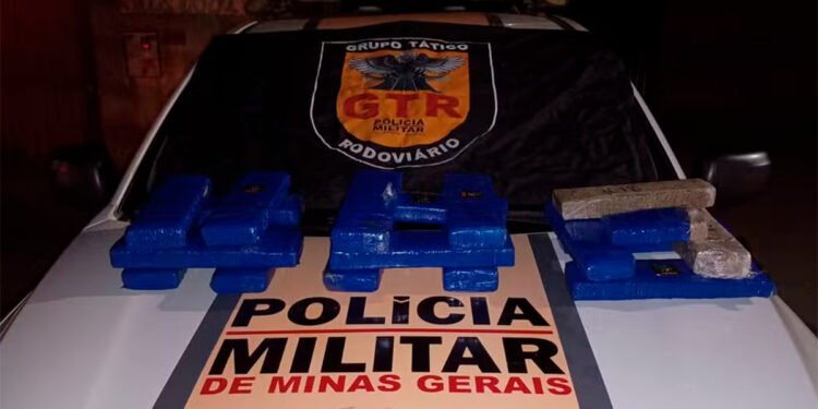 Polícia apreende 17 barras de maconha escondidas em malas de passageiro que viajava de São Paulo para a Bahia