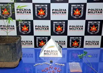 Após PM encontrar pedras de crack com menor, avô dele confirma seu envolvimento com o tráfico e ainda entrega mais drogas para policiais