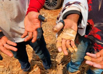 Procuradoria do Trabalho de Montes Claros encontra irregularidades em mais da metade das 228 investigações abertas em 2024