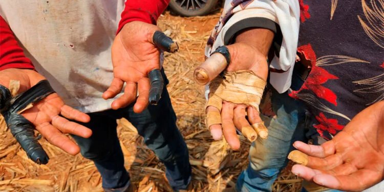 Procuradoria do Trabalho de Montes Claros encontra irregularidades em mais da metade das 228 investigações abertas em 2024