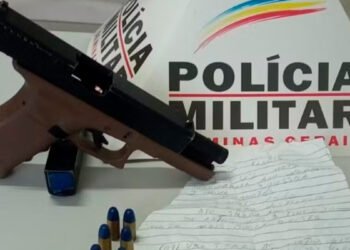 Após furto, réplica de arma é encontrada enterrada no quintal da casa da tia do suspeito