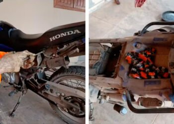 Cobra-coral que subiu em moto é encontrada escondida embaixo de banco