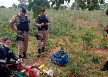 Com a ajuda de cães de resgate, Bombeiros localizam idoso de 77 anos que estava desaparecido há 3 dias