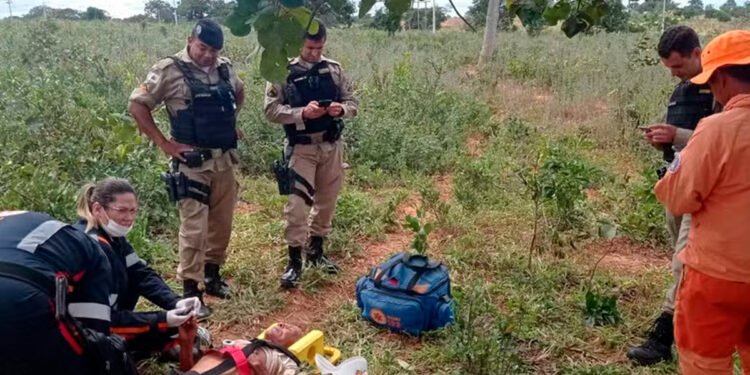 Com a ajuda de cães de resgate, Bombeiros localizam idoso de 77 anos que estava desaparecido há 3 dias