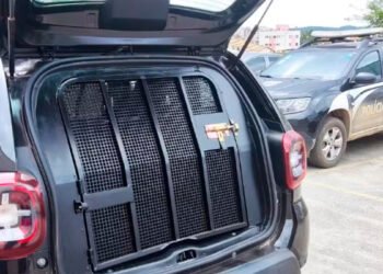 Condenado por estupro é preso em Bocaiuva; conselheiras tutelares contaram que ele dava alimentos e dinheiro para crianças em troca de atos libidinosos