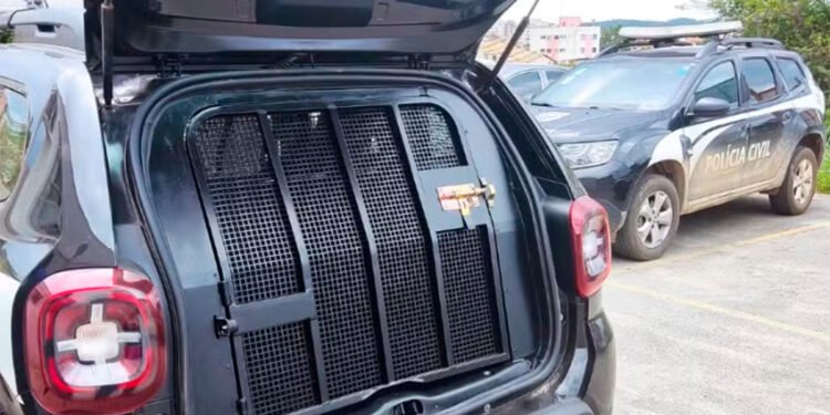 Condenado por estupro é preso em Bocaiuva; conselheiras tutelares contaram que ele dava alimentos e dinheiro para crianças em troca de atos libidinosos