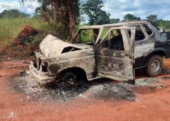 Incêndio em caminhonete se alastra e atinge vegetação às margens da BR-365, em Claro dos Poções