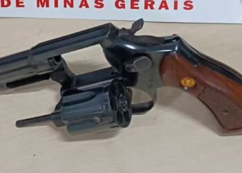 Polícia encontra revólver escondido em cacho de bananas após receber denúncias de que homem estaria armado em rua de Araçuaí