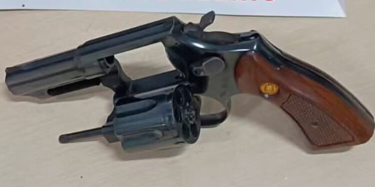 Polícia encontra revólver escondido em cacho de bananas após receber denúncias de que homem estaria armado em rua de Araçuaí