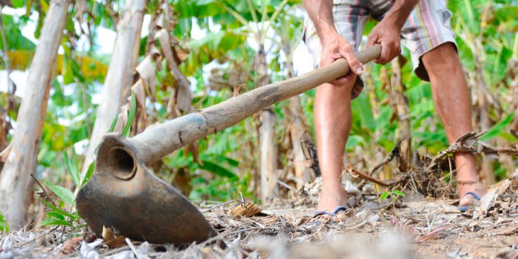 esenrola Rural é oportunidade oferecida pelo Banco do Nordeste a produtores rurais