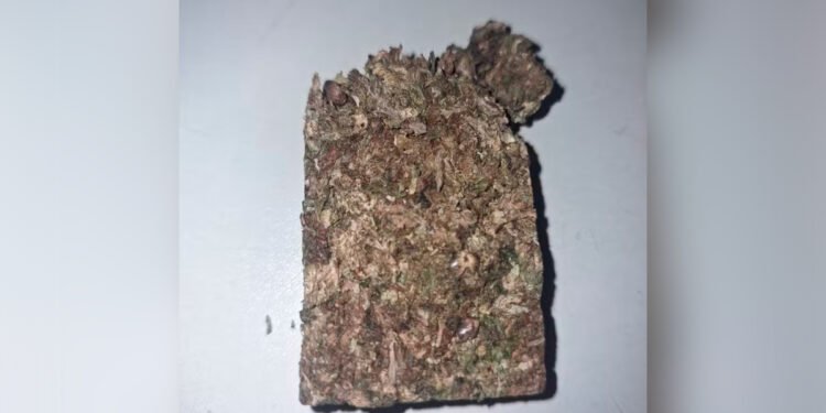 Motorista é preso com maconha na cueca na BR-135 e admite ter usado droga enquanto dirigia