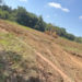AGROFEST 2026 será realizado em novo espaço e promete novidades ao público de Jesuânia