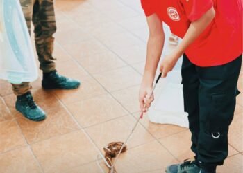 Projeto Bombeirinho leva crianças de Passa Vinte a experiência educativa sobre a fauna