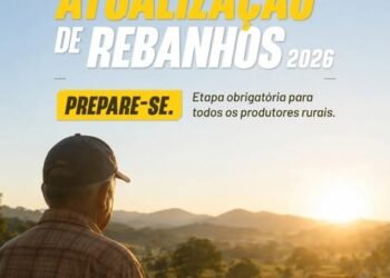 Paula Cândido reforça importância da atualização obrigatória dos rebanhos junto ao IMA
