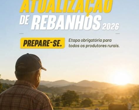 Paula Cândido reforça importância da atualização obrigatória dos rebanhos junto ao IMA