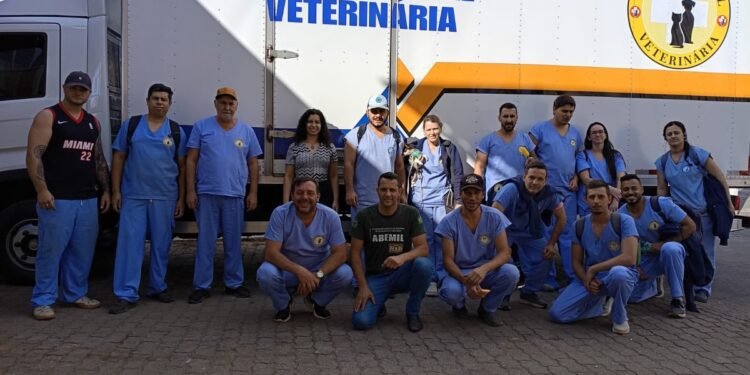 Santa Cruz de Minas castra gratuitamente mais de 200 cães e gatos